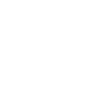 Kôň 11